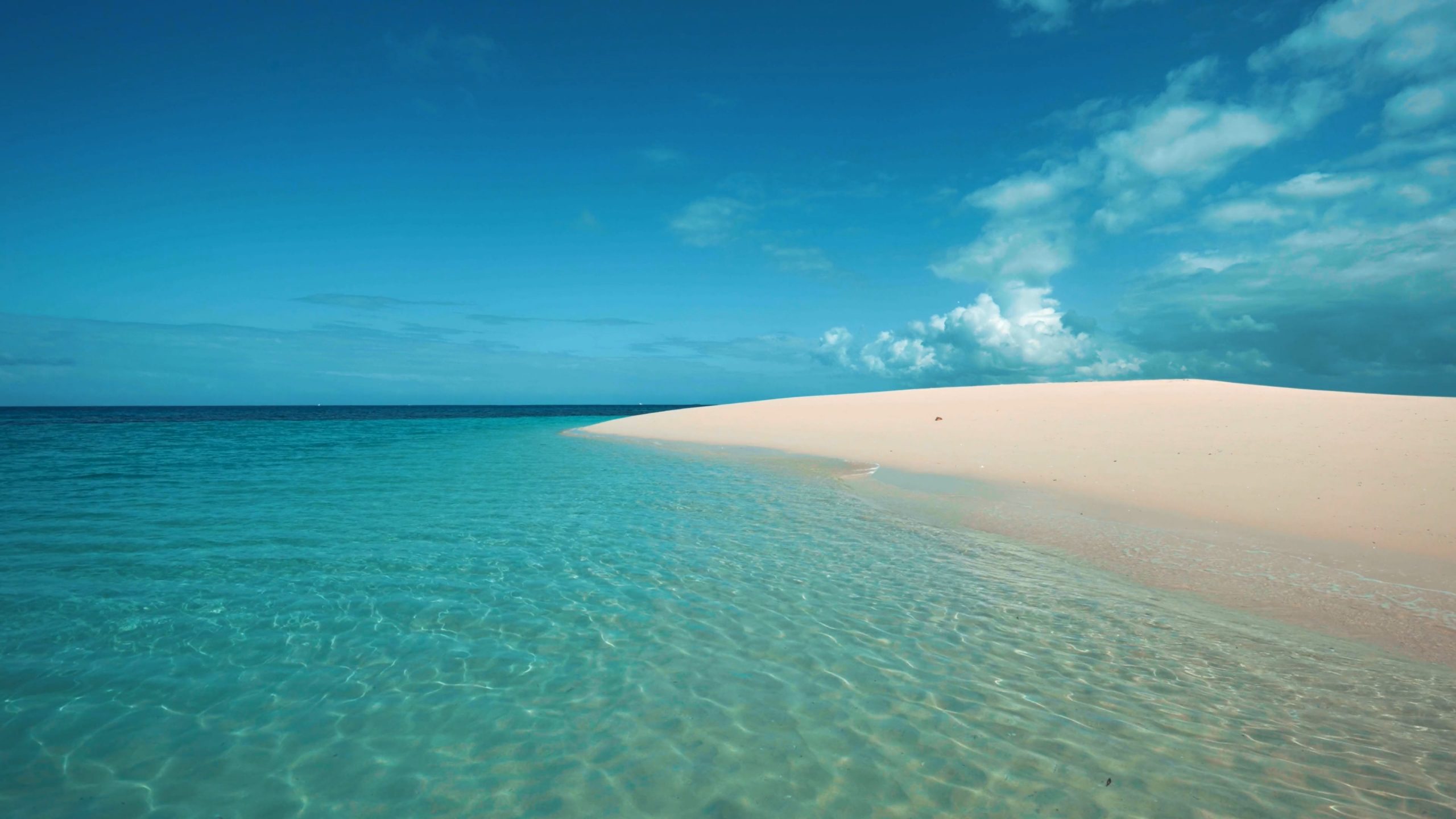 평온한 하루 배너 이미지