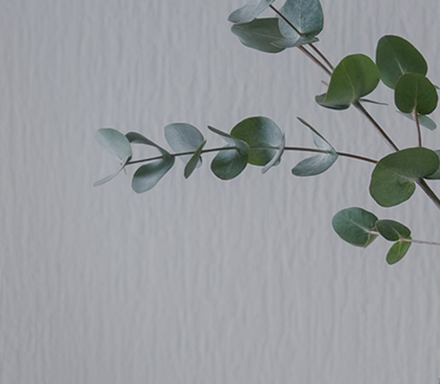 명상후기 배너 이미지