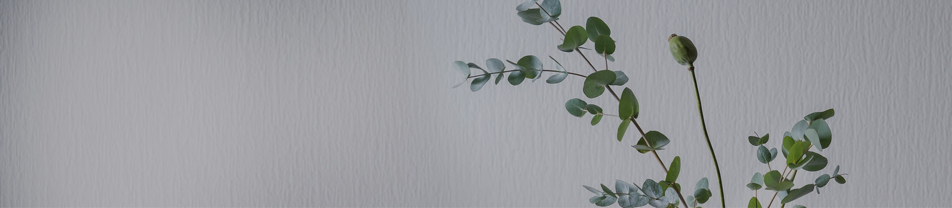 명상후기 배너 이미지